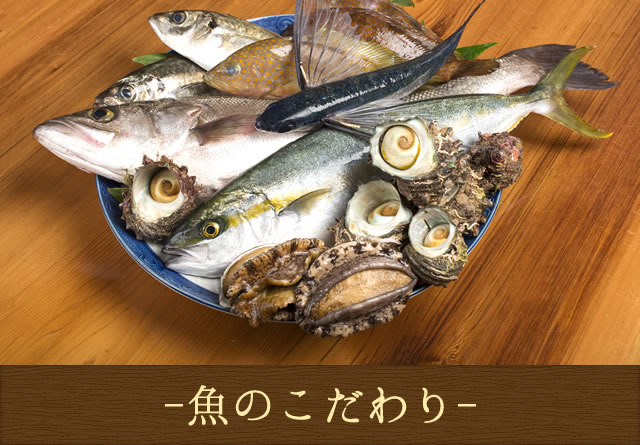 魚のこだわり